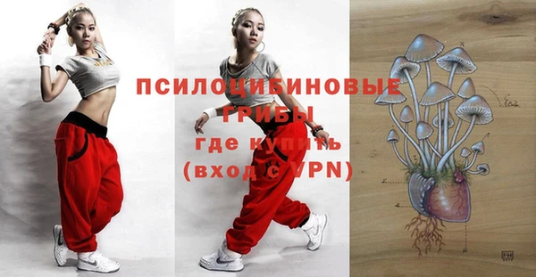 круглые Надым